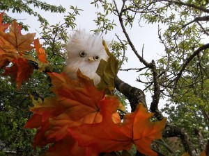 61703949_192637434954935_3794438773761114112_o