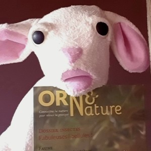 Resized_IMG_20210322_102619_060