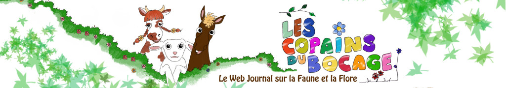 Les Copains du bocage